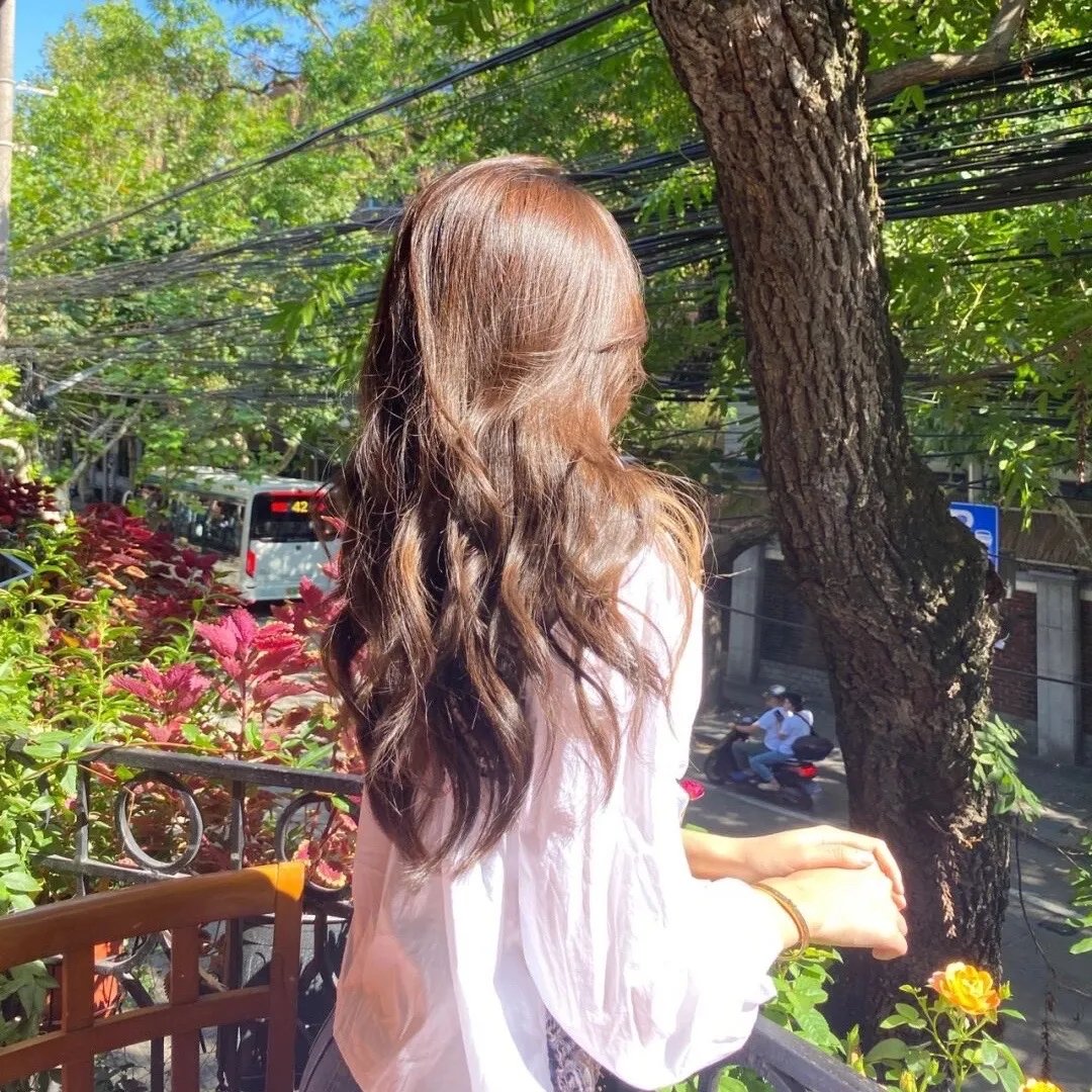 茉莉花